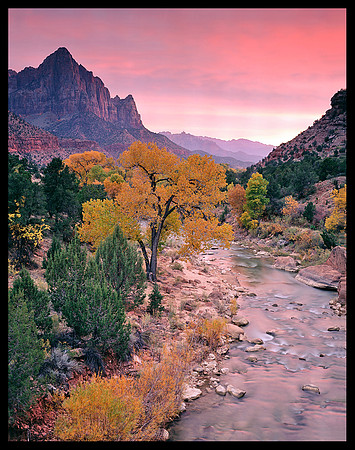 Zion N.P. (C57)