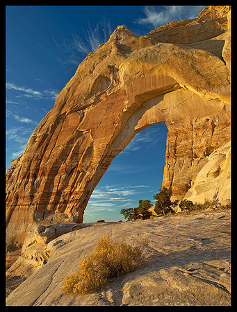 White Mesa Arch