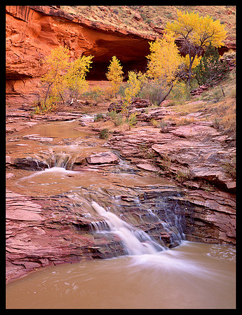 Coyote Gulch (P113)