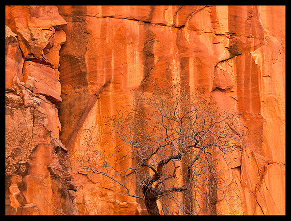 Coyote Gulch 4