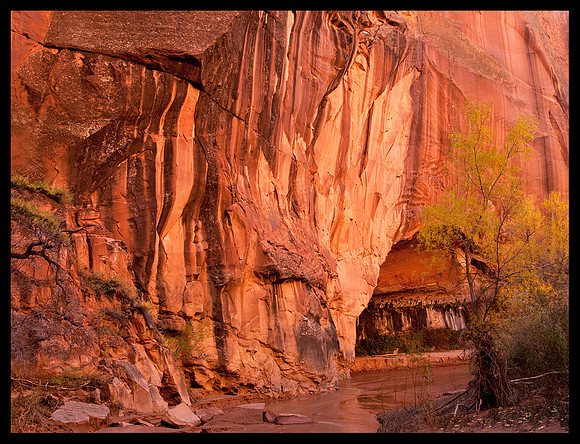 Coyote Gulch 2