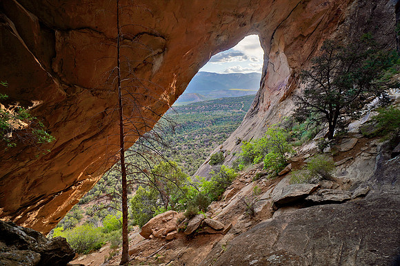 Arch 1