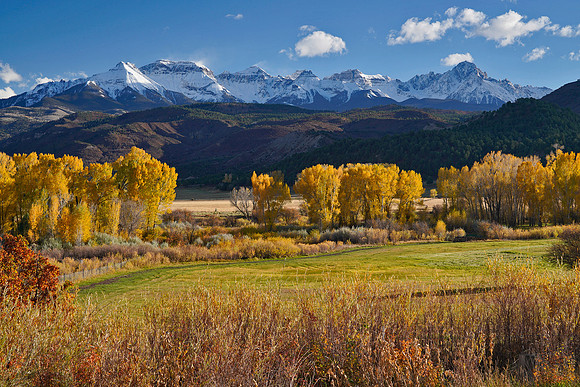 Fall Colors 249