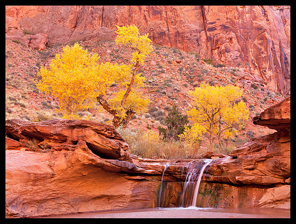 Coyote Gulch 1