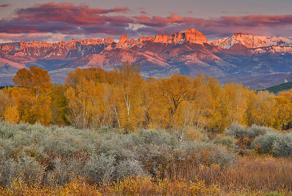 Fall Colors 256