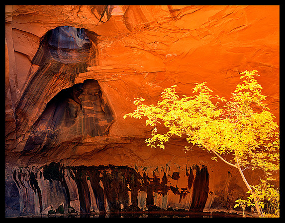 Neon Canyon (P128)